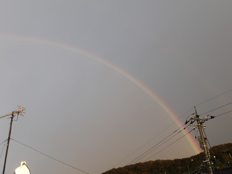 nitijou131112004