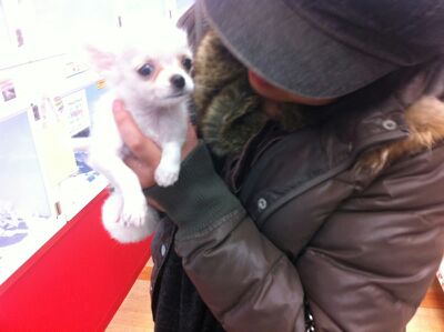 rblog-20140322202124-00.jpg