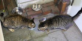 5DA_0151-16.jpg
