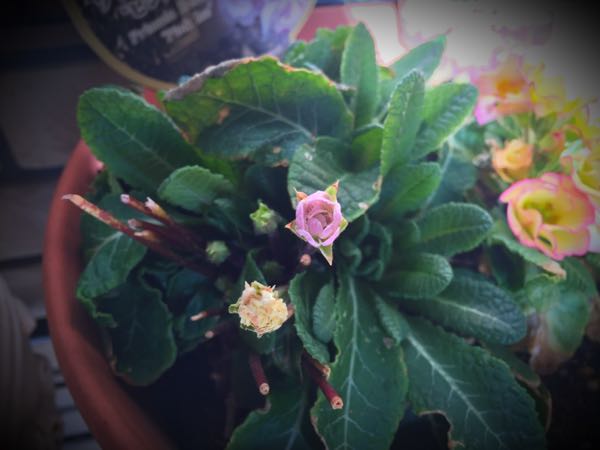 rblog-20160225162452-04.jpg