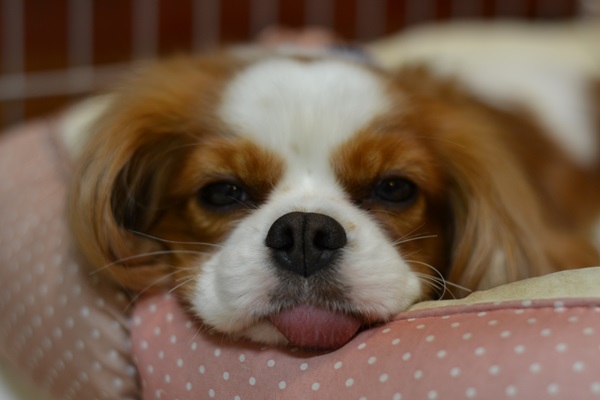 DSC_3011.jpg