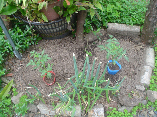 burogu_12_05_01_02.jpg