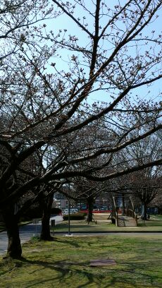 rblog-20140403084834-02.jpg