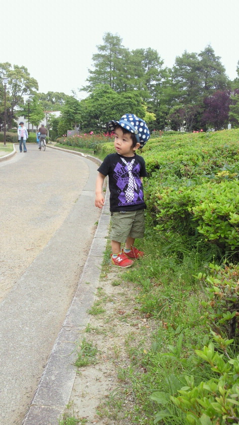 2012052911460000.jpg