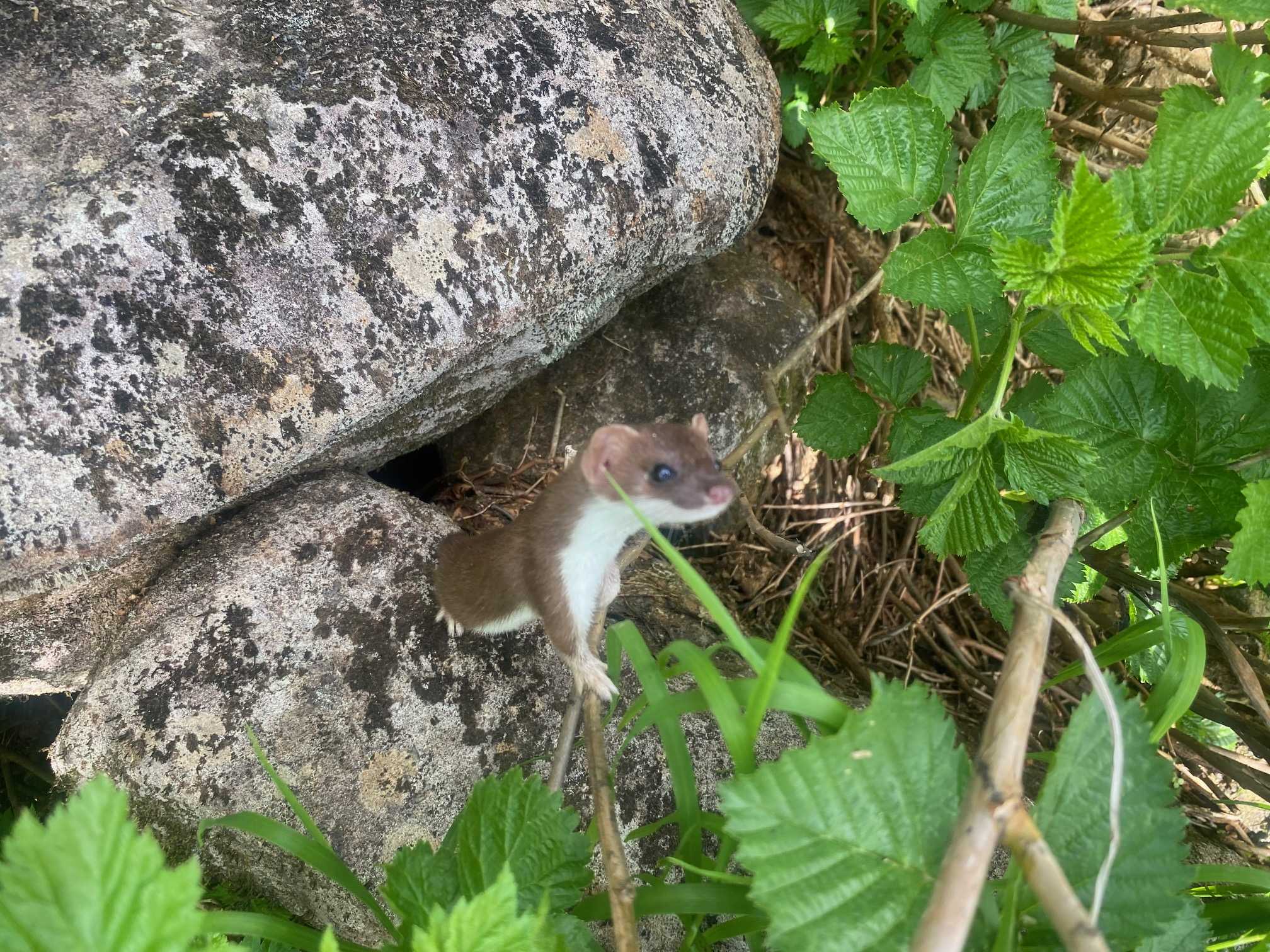醍醐山と下部（しもべ）温泉