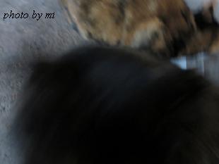 2014 023-1.JPG