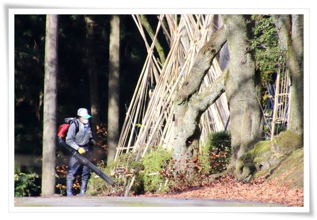 樹木公園-21 15.12.2