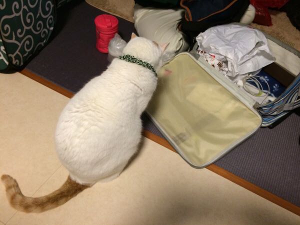 rblog-20141201071600-01.jpg