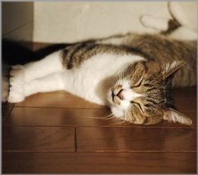 0806くり憑依寝2.jpg