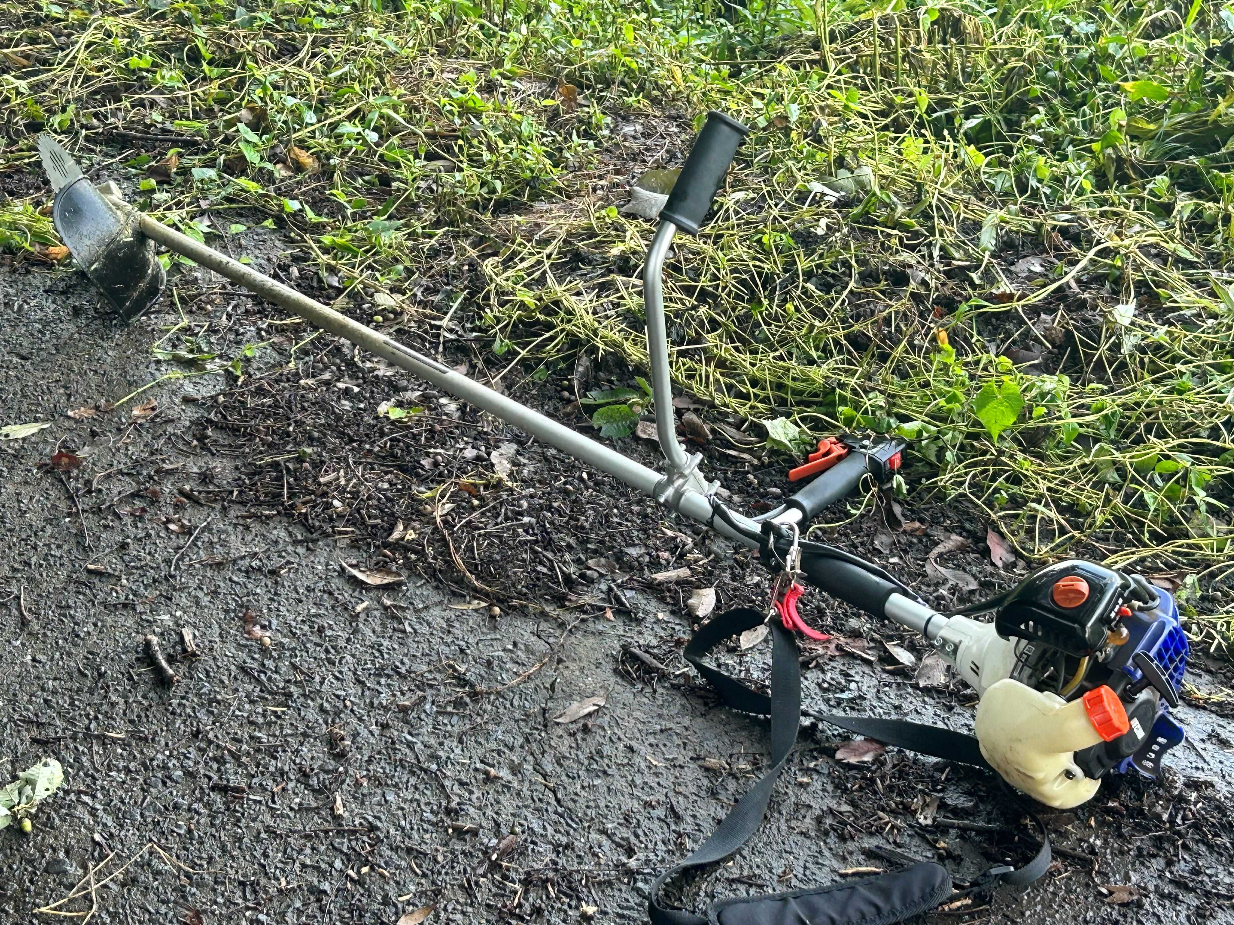 民宿灯台 小谷沼 米の放任栽培 | 民宿灯台 五浦岬公園 - 楽天ブログ