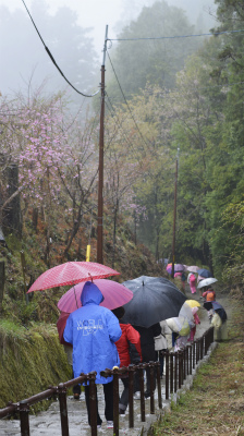 吉野2