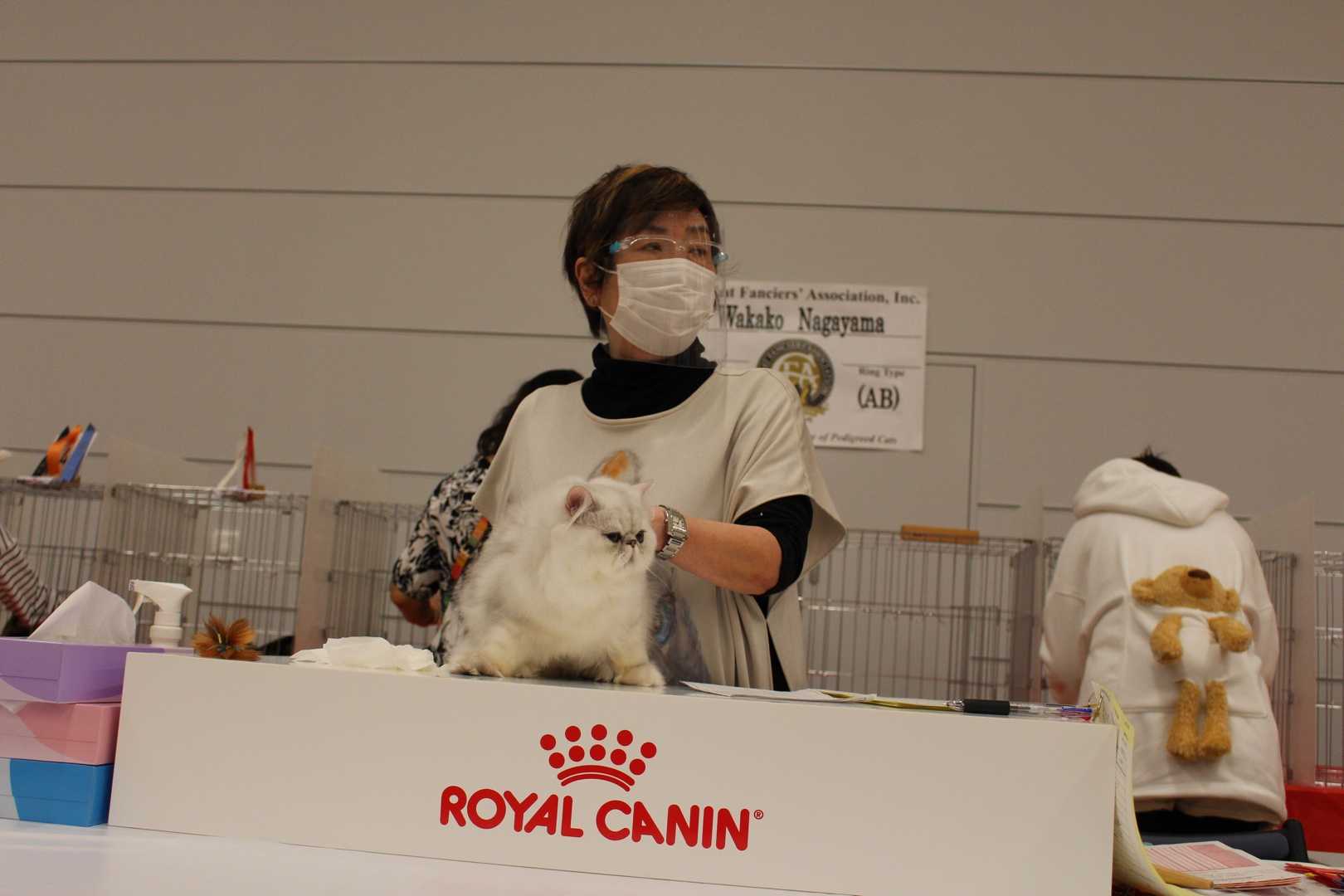 CFA JAPAN REGIONAL CAT SHOW Cattery PETITANGEのブログ 楽天ブログ