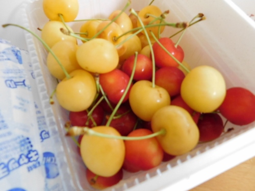 DSCN0738 (500x375).jpg