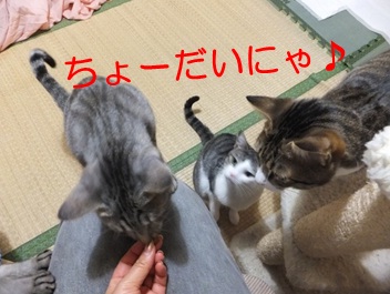 20121028_5.jpg
