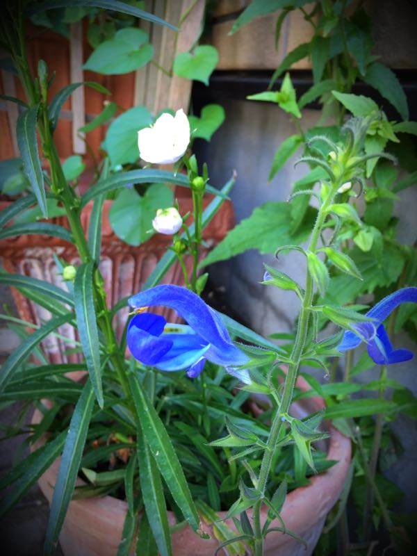 rblog-20150531143715-01.jpg