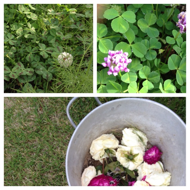 rblog-20130522174320-01.jpg