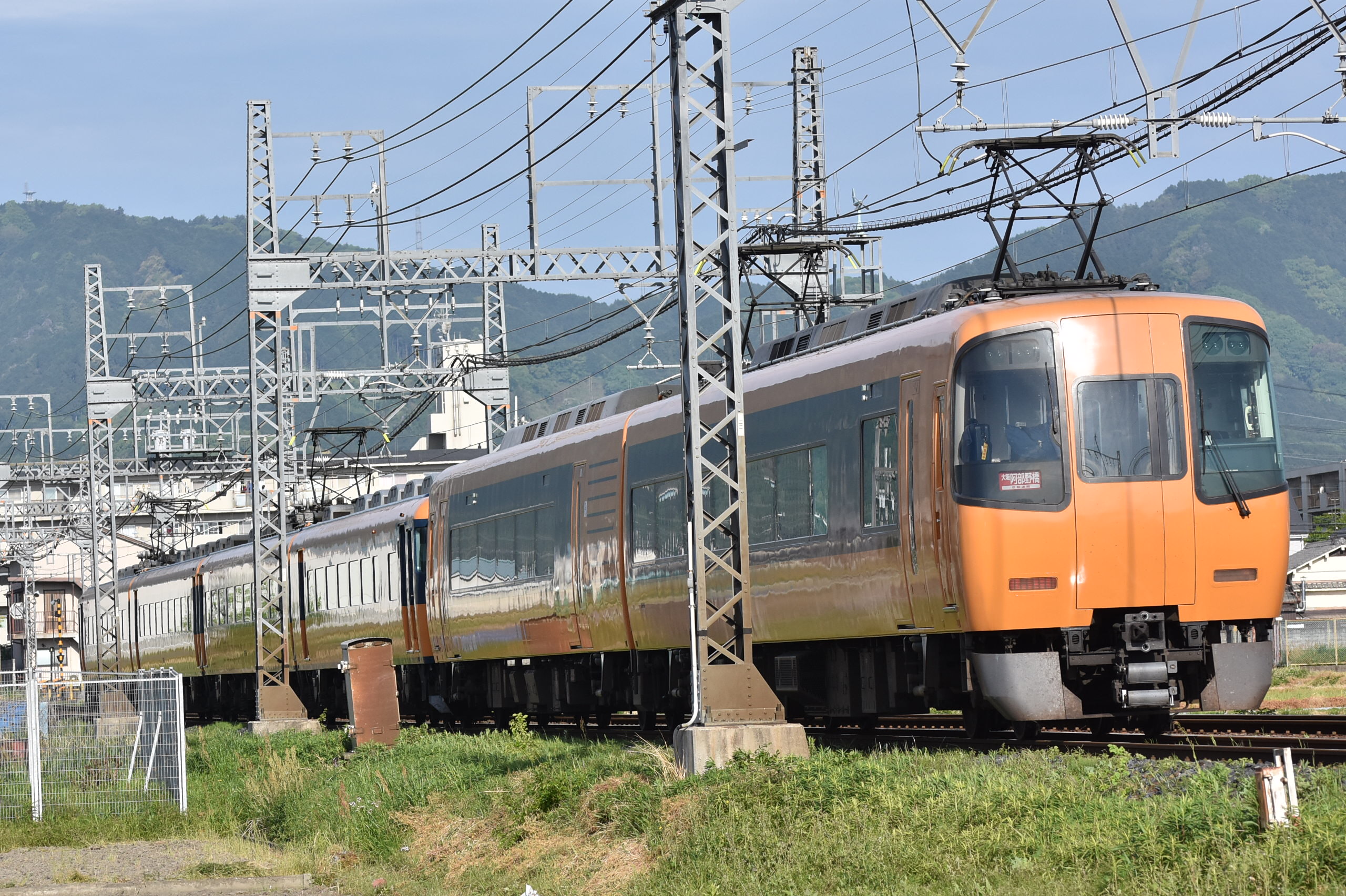 DSC_5106.JPG