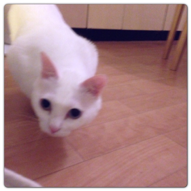 rblog-20130607231913-01.jpg
