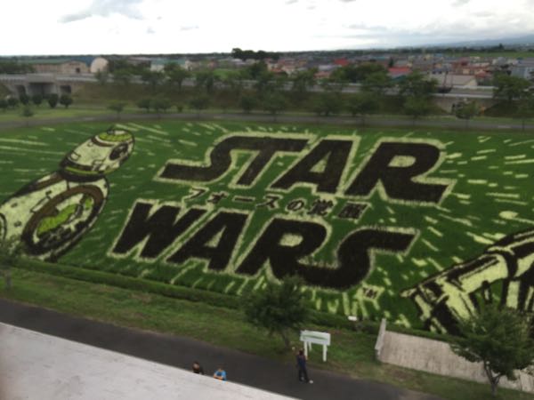 rblog-20150725222748-04.jpg