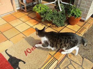 IMG_9370ss.jpg