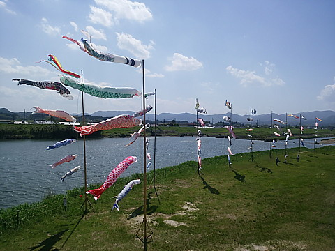 IMG_20160504_140113.jpg