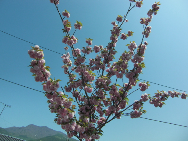 20150502-2.JPG