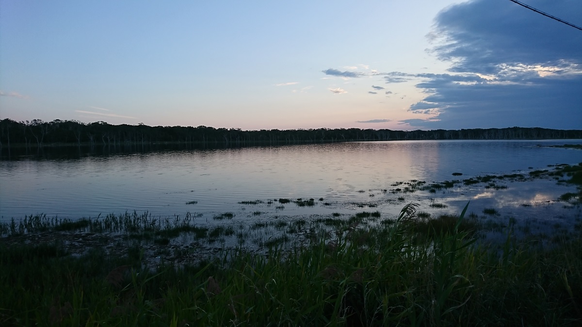 DSC_0556.JPG