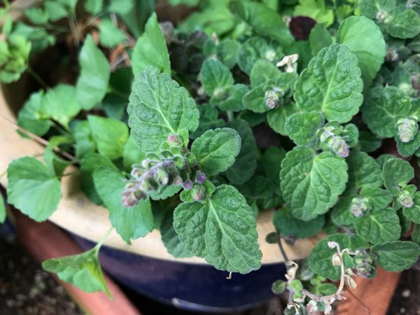 rblog-20180408162246-05.jpg