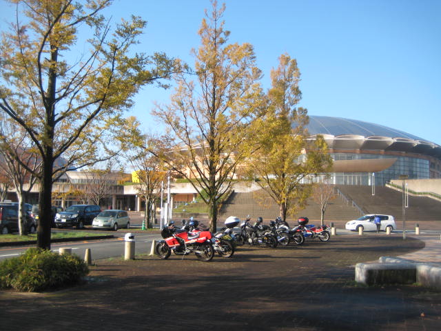 IMG_3779.JPG