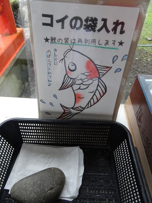DSC02748_R.JPG