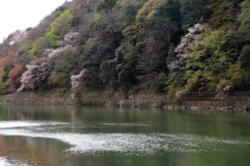 大堰川と嵐山_005逆光.jpg