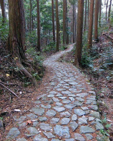 里山防災林