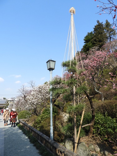 池上梅園