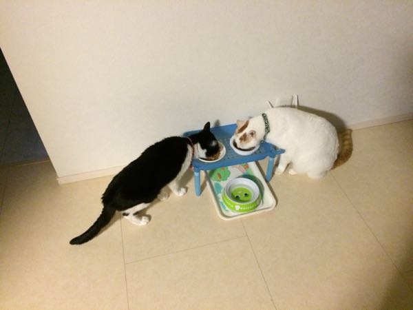 rblog-20150621051314-03.jpg