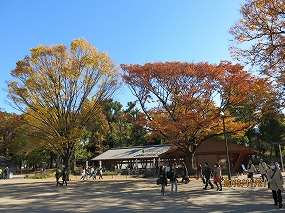 紅葉 131121-583b.jpg