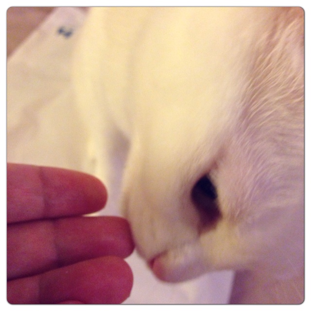 rblog-20130615221342-01.jpg
