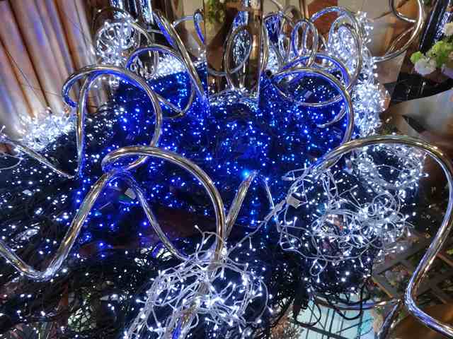 DSC08050_R.JPG