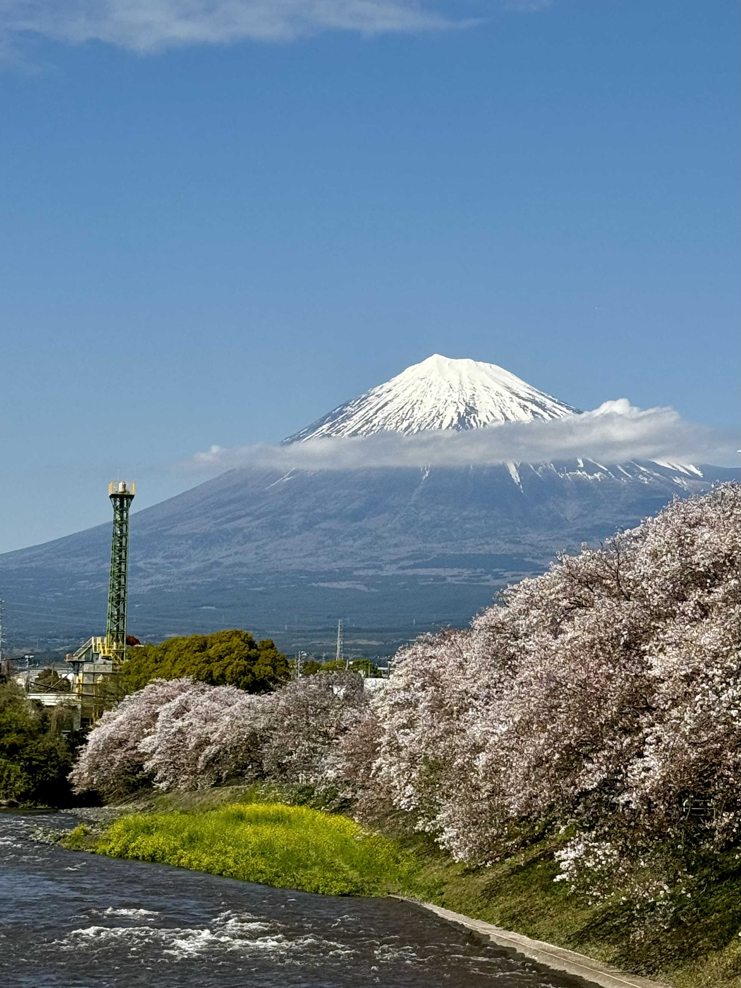 富士山！ | いつまでも - 楽天ブログ
