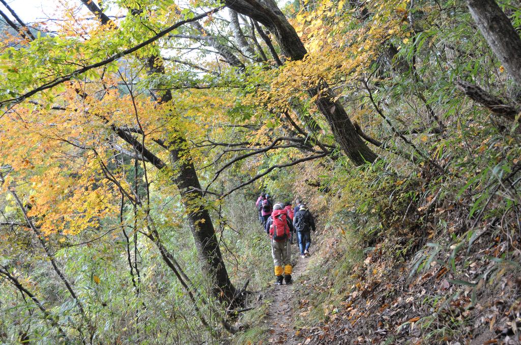 第14回醍醐山一斉登山1（登山編） | 醍醐山と下部（しもべ）温泉 - 楽天ブログ