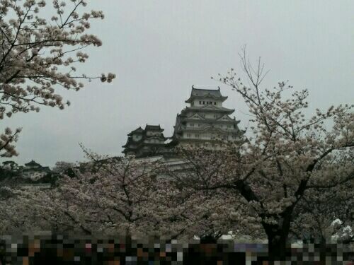 rblog-20170413202206-01.jpg