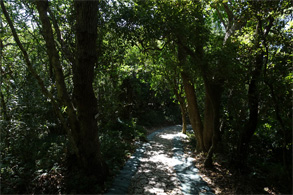 沖縄296.jpg