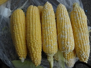 2012-08-05 13.13.28.jpg