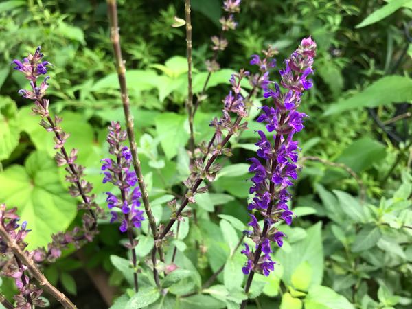 rblog-20180628172147-00.jpg