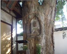善願寺不動明王.jpg