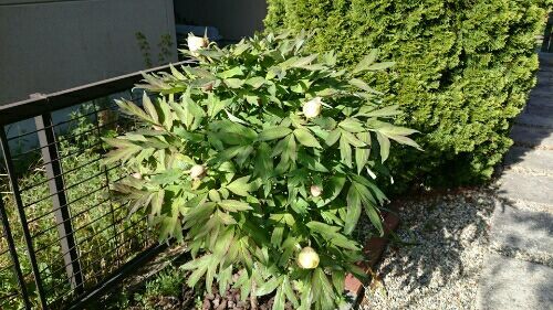 rblog-20170502214828-01.jpg