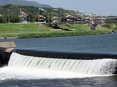 IMG_1026.jpg