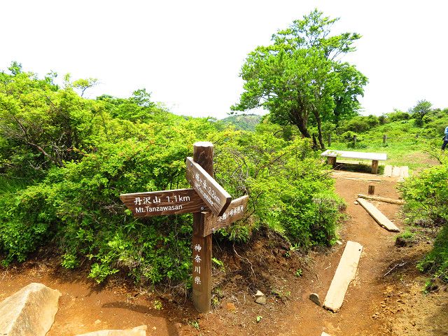 丹沢登山（3）丹沢山山頂→蛭ヶ岳山頂 | 星とカワセミ好きのブログ - 楽天ブログ