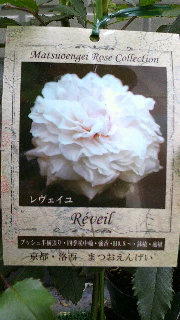 2013052818020000.jpg