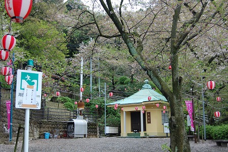 s-DSC_0320.jpg