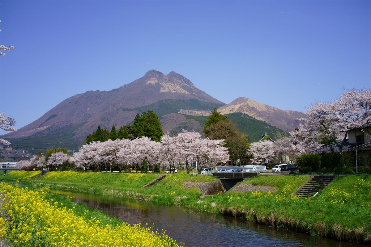春の由布山 | 大分行き当たりばったり - 楽天ブログ